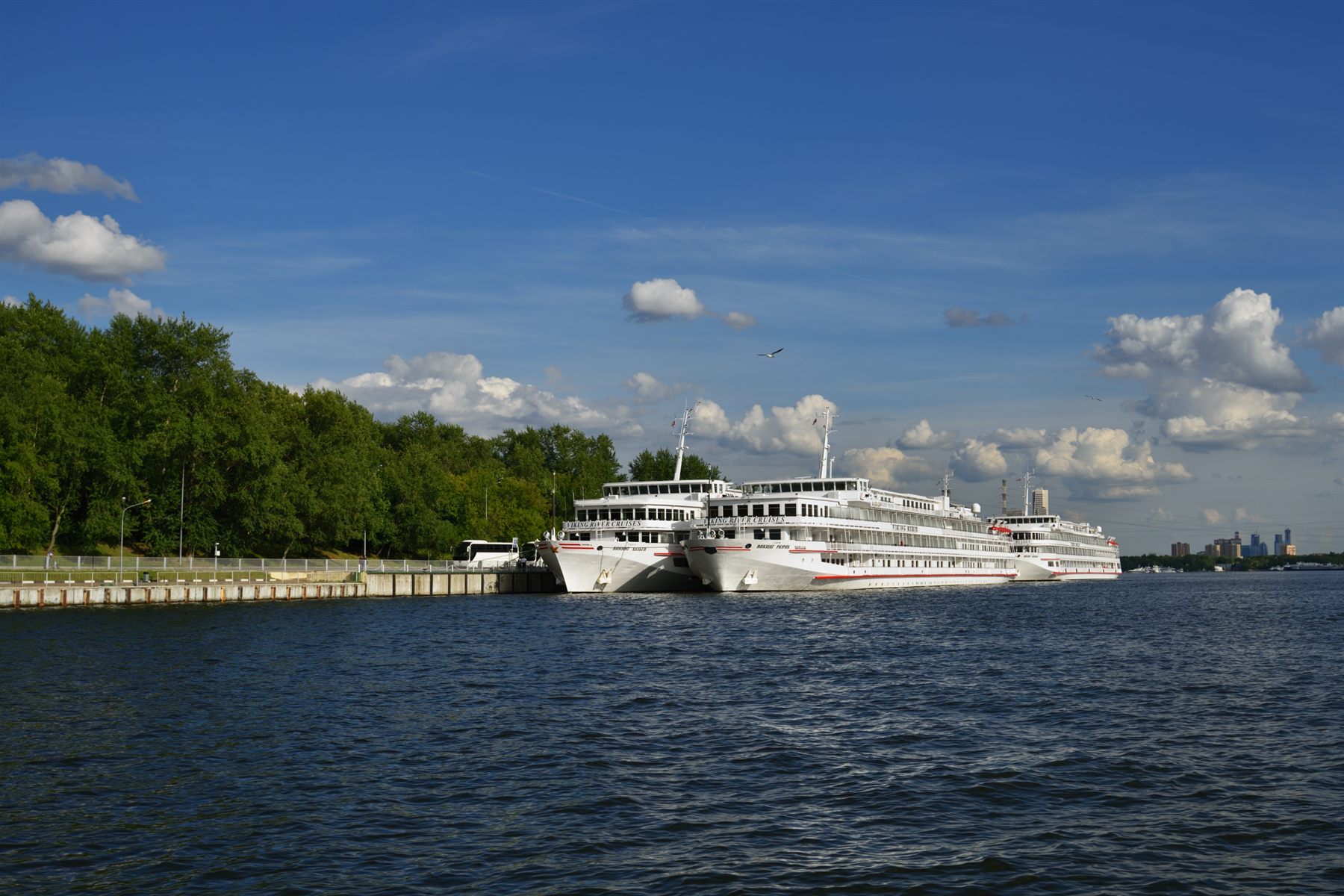 Three river cruise ships moored together along a tree-lined bank